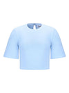 PERIWINKLE